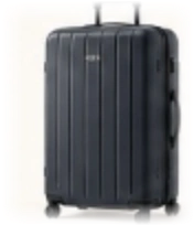 Extra Large luggage